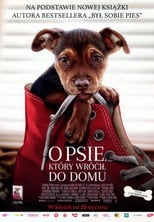 O psie, który wrócił do domu eKino TV | Film Online