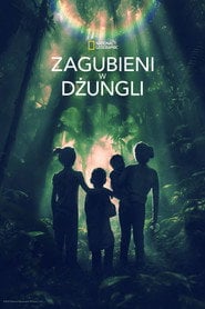 Zagubieni w dżungli (2025) - Vider