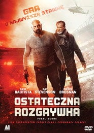 Sprawdź Ostateczna rozgrywka - dostępność w katalogu Vider