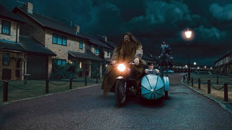 Harry Potter i Insygnia Śmierci: Część I (2010) - Vider